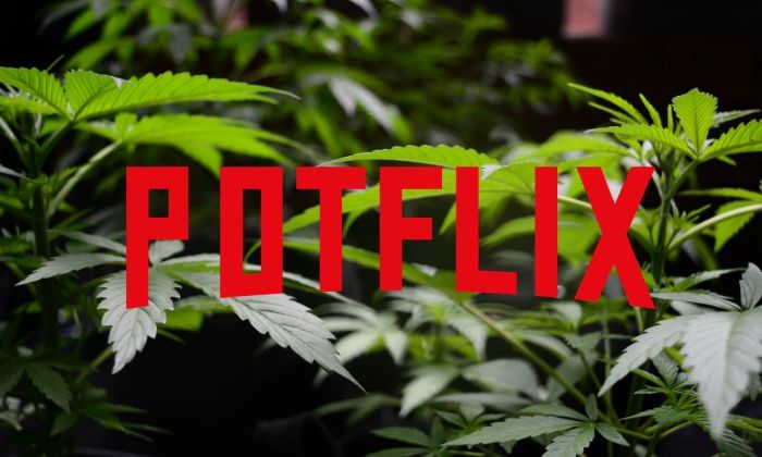 Potflix: Netflix + marihuana.  14 películas, series y documentales para marihuaneros en Netflix  [Actualizado 2021]